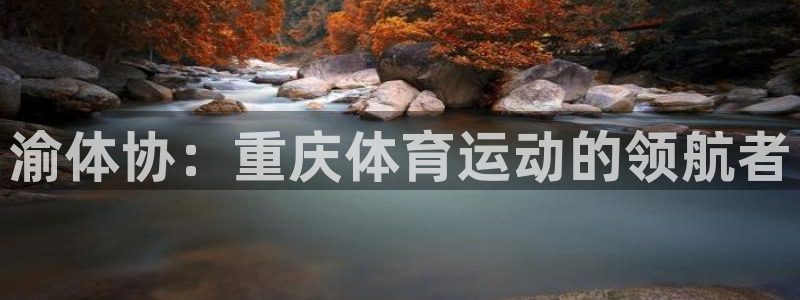 米兰体育官方平台体育:渝体协:重庆体育运动的领航者