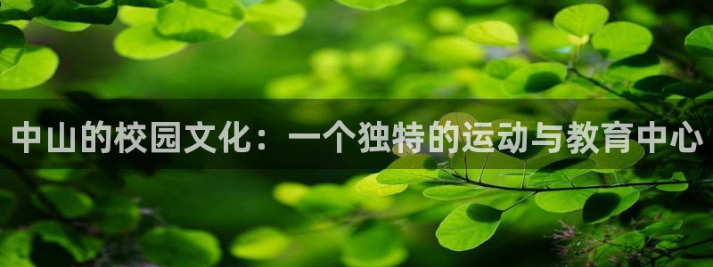 米兰体育官方正版app代理:中山的校园文化:一个独特的运动与
