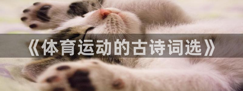 米兰体育官方正版app科技:《体育运动的古诗词选》